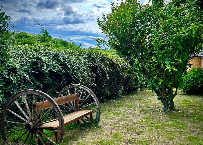 Maria 卡斯特罗波尔